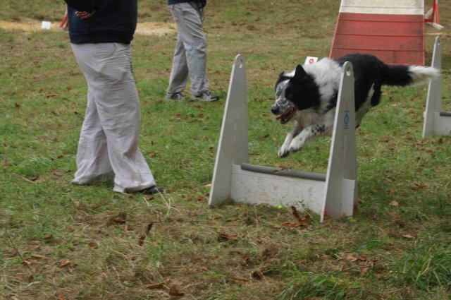 foire-haricots 2011-09-17et18